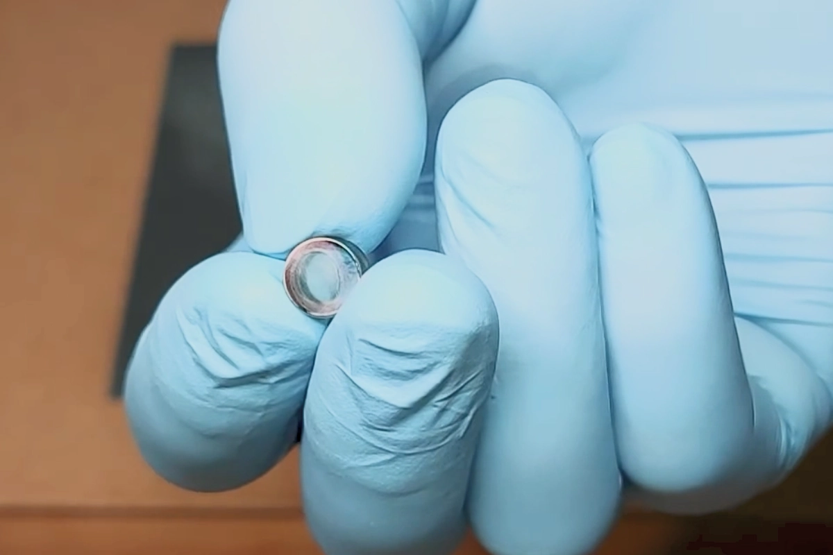 a person holding a round object